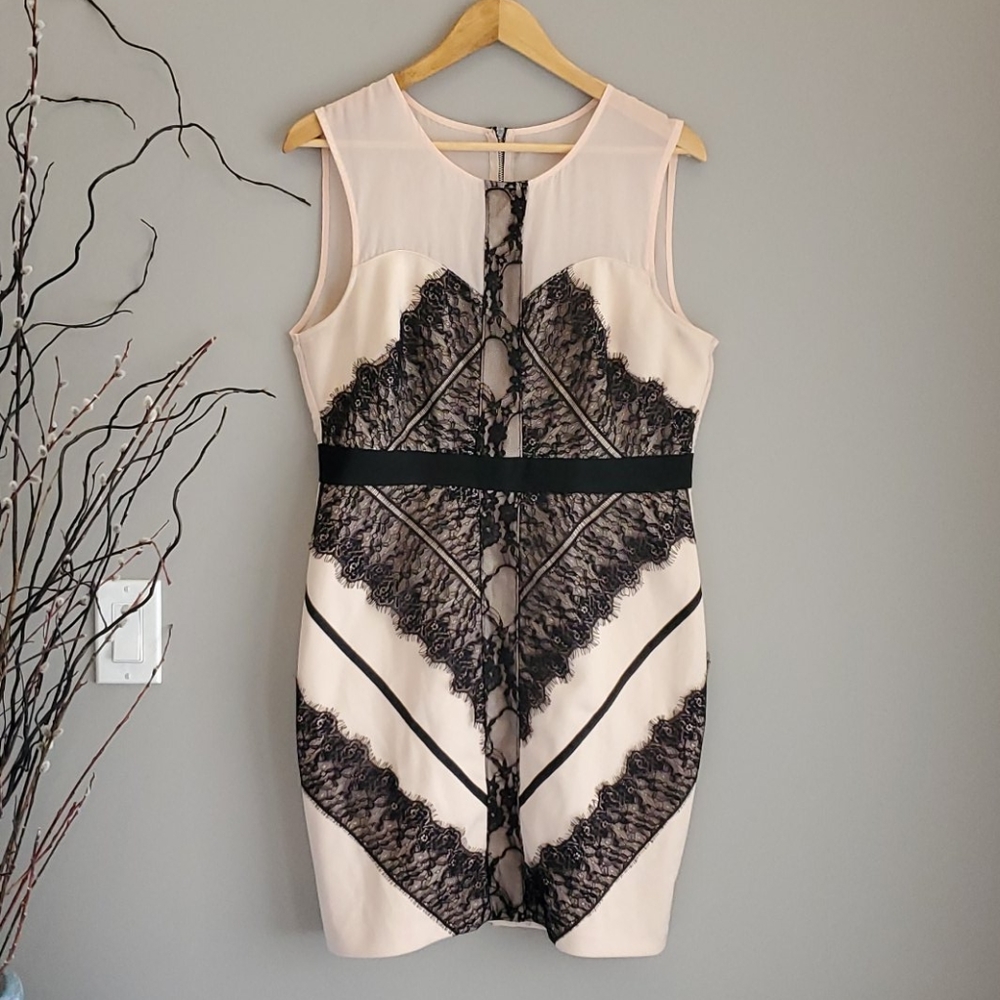 Nude and black lace dress
